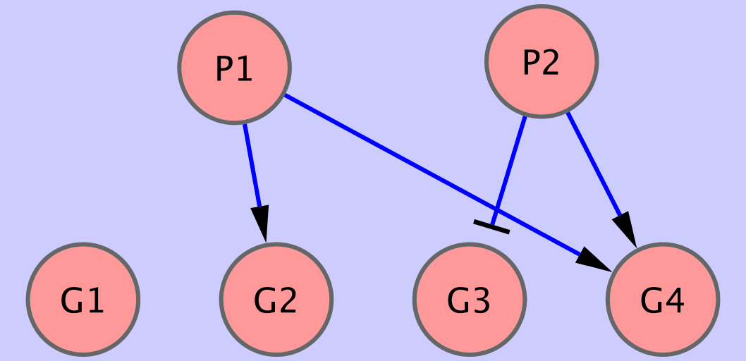 Image network1